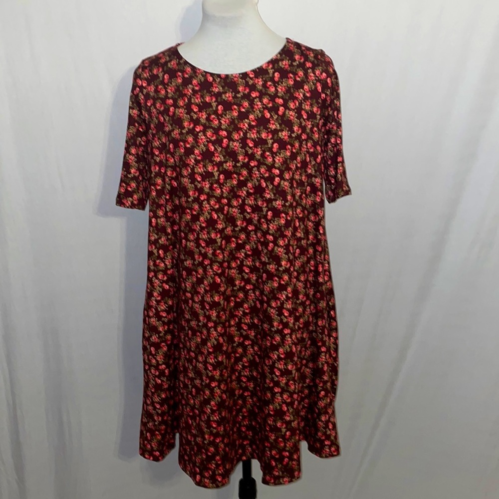 NWT Agnes & Dora Floral Swing Tunic Medium